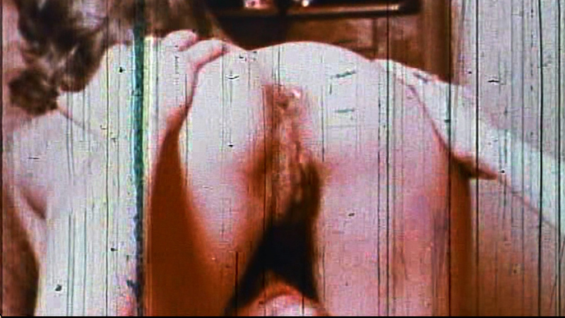 Dolly Sharp Nude in The Weirdos and the Oddballs. Butt, Bush, backburger, brunette. 669292