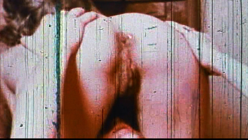 Dolly Sharp Nude as Zora. Butt, Bush, backburger, brunette. 669290