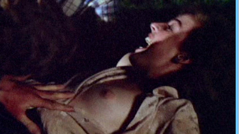 Jodi Thelen in Four Friends (1981) Breasts Breasts Brunette 588600
