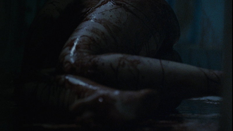 Danielle Harris Nude as Annie Brackett. Butt, bathroom, bloody. 679634