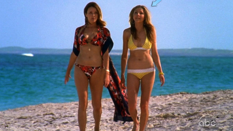 Sarah Chalke in Scrubs (2001) Bikini Beach Big Breasts 669624