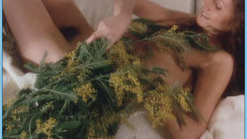 Mireille Audibert Nude in La Marge. Breasts, Bush, brunette, hairy bush. 592942