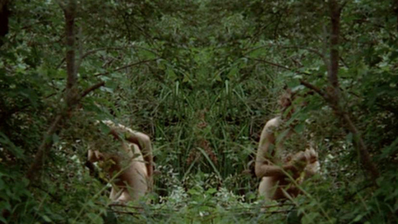 France Horn from Lacombe Lucien Naked. Breasts, Bush, collage, full frontal. 535763