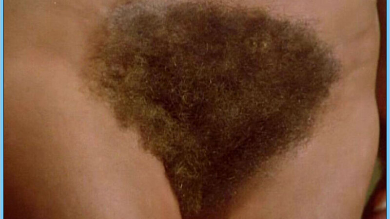 Nudes of Asuncion from El consenso. Bush, bush close-up, hairy bush. 614574
