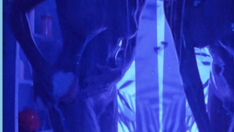 Loren De Palm in Plankton (1994) Breasts Bush Blue Lighting Breasts 588078