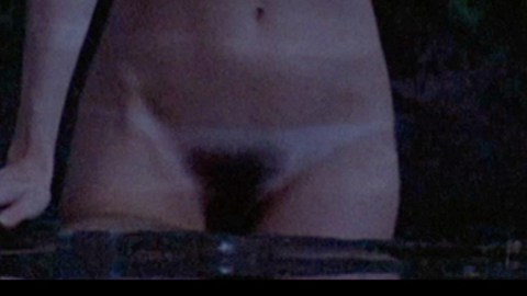 Carolyn Houlihan in The Burning (1981) Breasts Bush Breasts Brunette 727979
