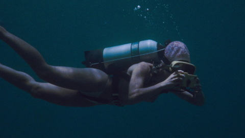 Auretta Gay Nude as Susan Barrett. Bikini, Breasts, goggles, nude. 854282