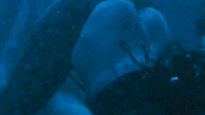 Sexiest Katarin Scenes. Sexy, SFW, blue lighting. 629590
