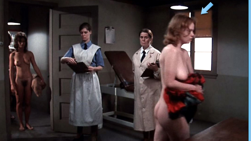 Sharon Kelly Nude in Ilsa, She Wolf of the S.S.. Breasts, Butt, brunette, nude. 553888