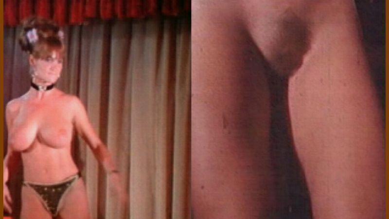 Nudes of Stripper from Booby Trap. Breasts, Bush, big breasts, collage. 603078