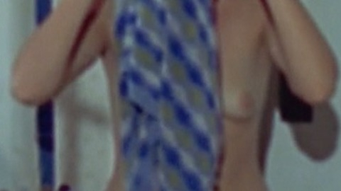 Diane Lee Hart Naked in The Giant Spider Invasion. Breasts, drying off, left breast. 768697