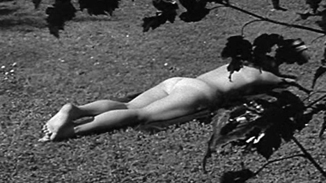 Nudes of Greta Johansson, Inga's aunt from Inga. Butt, black and white, face down. 596526