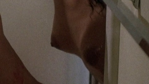 Ola Ray in 10 to Midnight (1983) Breasts Black Black Hair 773624