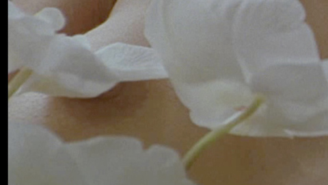 Shannyn Sossamon in 40 Days and 40 Nights (2002) Breasts Breasts Brunette 700399