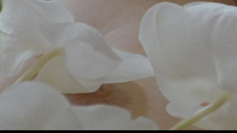 Shannyn Sossamon in 40 Days and 40 Nights (2002) Breasts Breasts Brunette 700396