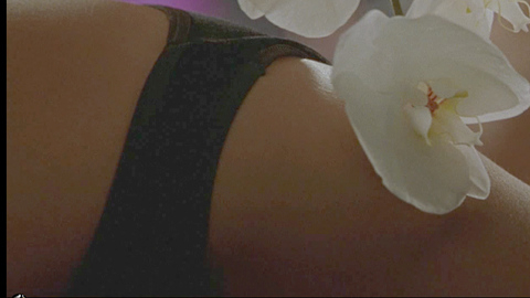 Shannyn Sossamon in 40 Days and 40 Nights (2002) Underwear Black Underwear Flower In Underwear 700398