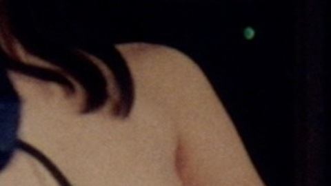 Linda Steiner from The Hot Nights of Linda Naked. Breasts, big areolas, brunette. 730205