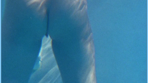Nancy O'Brien in Web of Seduction (1999) Butt Butt Nude 577994