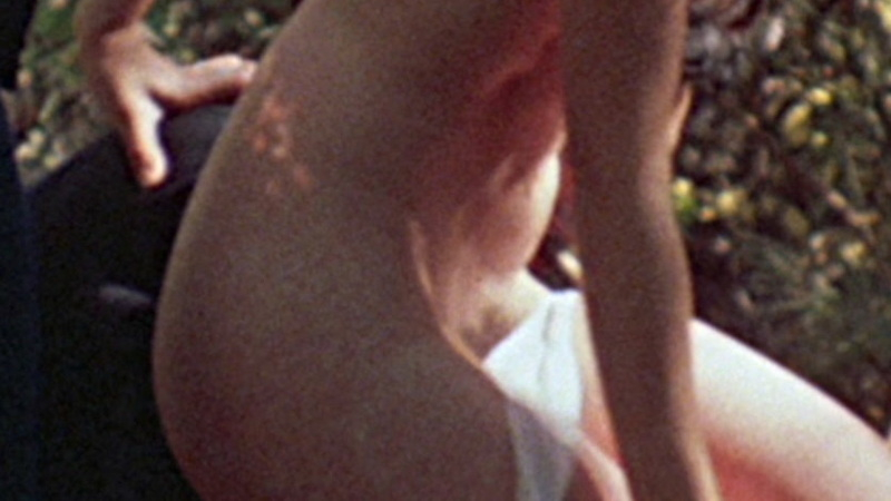 Sandra Peabody Nude as Mari Collingwood. Bush, brunette, forest. 598424