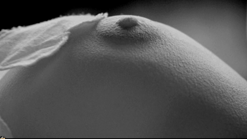 Amparo from Talk to Her Naked. Breasts, Body Double, close-up, nude. 680303