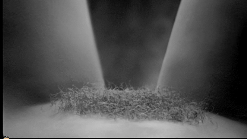 Paz Vega Nude in Talk to Her. Bush, Body Double, black and white, close-up. 680302