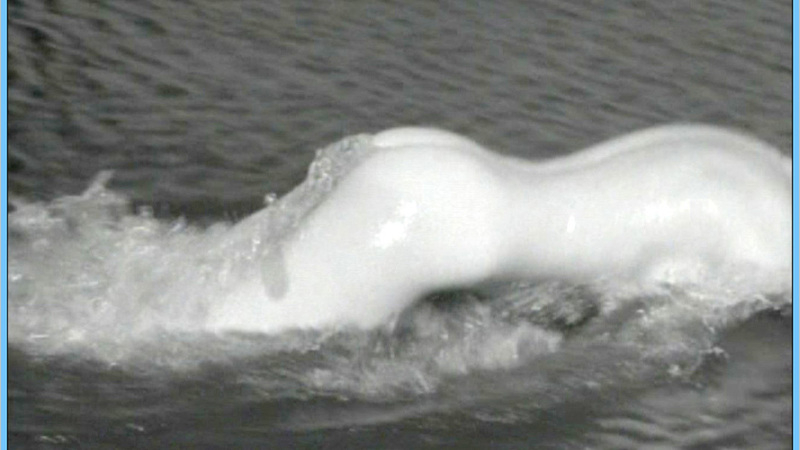 Clara Belle from Mudhoney Naked. Butt, black and white, blonde. 553769