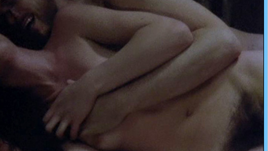 Nora Barnacle from Nora Naked. Bush, brunette, hairy bush. 589889