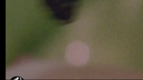 Kate Bosworth in The Rules of Attraction (2002) Breasts Breasts Close Up 694623