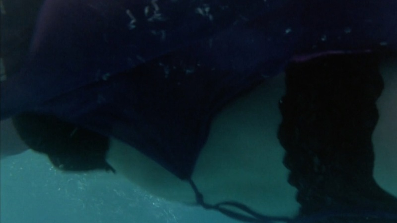 Hottest Molly Graves Scenes. Underwear, SFW, black bra. 719037