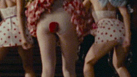 Rose Byrne in Get Him to the Greek (2010) Sexy Dancing On Computer 688990