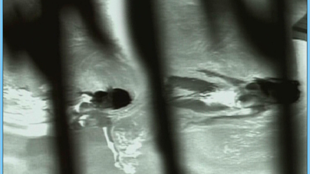 Seana Ryan Naked in Naked Souls. Breasts, big breasts, black and white. 533833