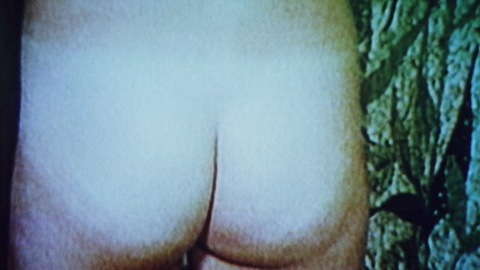 Rebecca Brooke in The Groove Tube (1974) Butt Butt Butt Close Up 611234