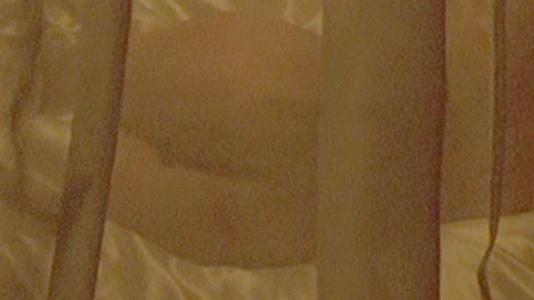 Sue Bowser in Scarface (1983) Butt Butt Couple In Bed 700238