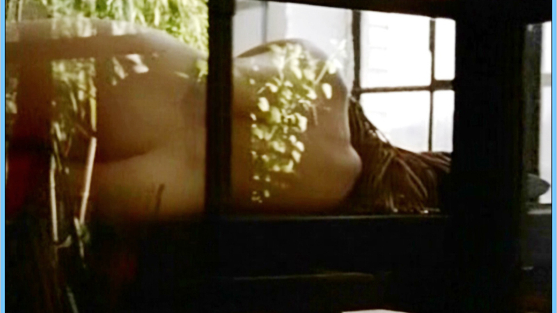 Johanna Klante Nude in Sperling und das schlafende Mädchen. Butt, nude, view through glass. 607108