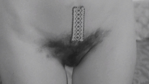 Louise White in Quiet Days in Clichy (1970) Bush Bush Bush Close Up 692411