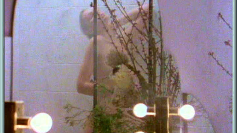 Sexiest Rebecca Gilling Scene in Return to Eden. Sexy, shower, steam. 665047