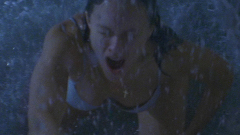Susan May Pratt in Open Water 2: Adrift (2006) Underwear Outdoors Raining 689044