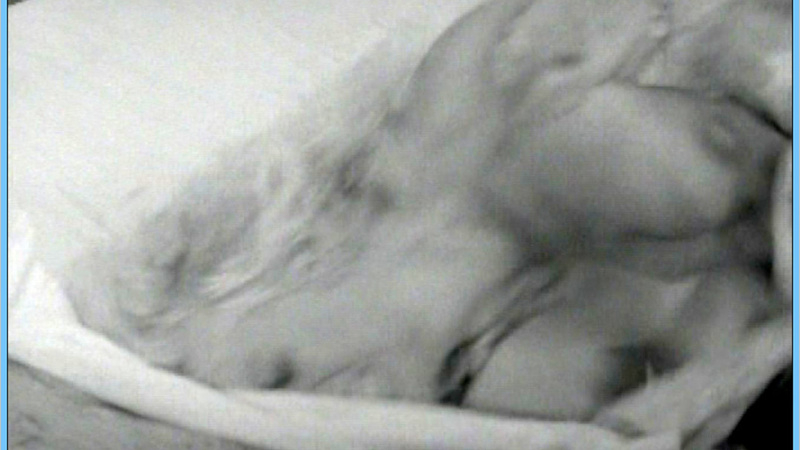 Hannah Brenshaw from Mudhoney Naked. Breasts, black and white, blonde. 553775