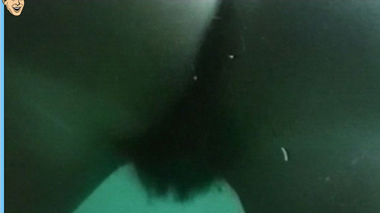 Nudes of Haifischmädchen from Demon Terror. Butt, Bush, backburger, close-up. 603036