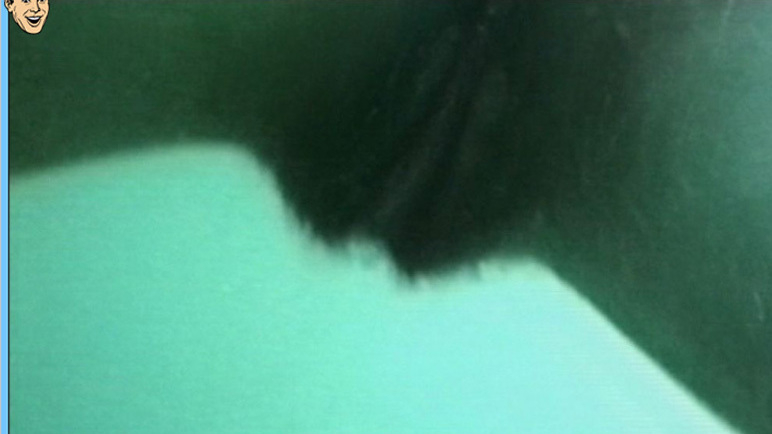 Haifischmädchen from Demon Terror Naked. Bush, close-up, hairy bush. 603035