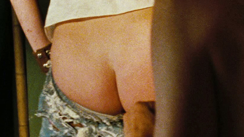 Sheri Moon Zombie Naked in The Devil's Rejects. Butt, blonde, nude. 709219