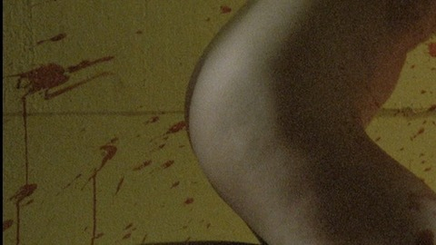Monika M. in Nekromantik 2 (1991) Butt Blood Breasts 757490