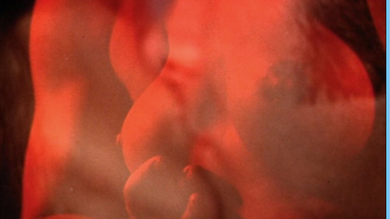 Mary Charlotte Wilcox Naked as Julia. Breasts, big breasts, breast close-up. 581451