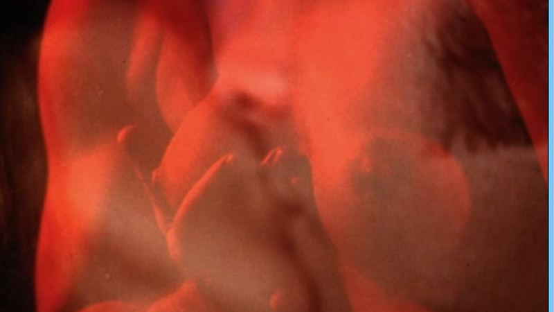 Mary Charlotte Wilcox Nude in Beast of the Yellow Night. Breasts, big breasts, breast close-up. 581452