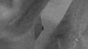 Ann Harris Naked in The Honeymoon Killers. Breasts, black and white, dark hair. 774847