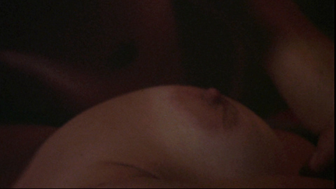 Linda Shayne in Screwballs (1983) Breasts Breast Close Up Breasts 679964