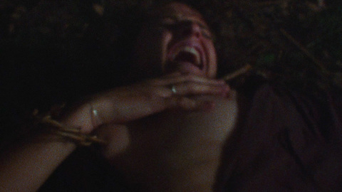Ellen Sandweiss in The Evil Dead (1981) Breasts Breasts Brunette 688741