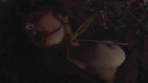 Ellen Sandweiss in The Evil Dead (1981) Breasts Breasts Brunette 688743