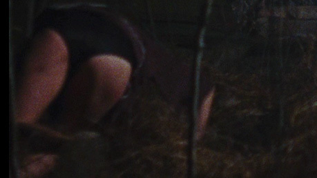 The Evil Dead's Sexiest Scenes with Ellen Sandweiss. Underwear, SFW, black panties. 688740