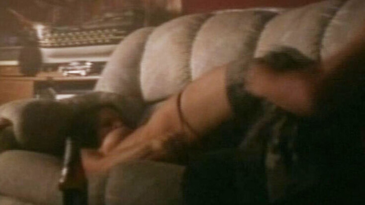 Deborah Zoe Naked as Arlene Gelb. Breasts, brunette, couple on couch. 614331